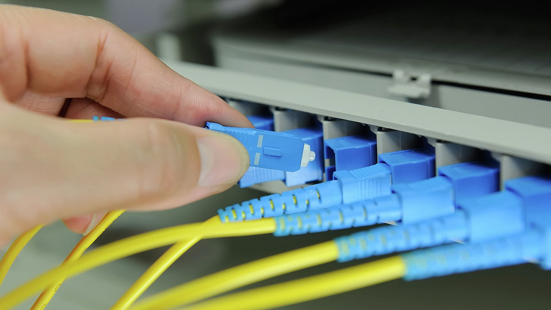 �������� "�����" ����������� ����� ��� �������� ������ ����