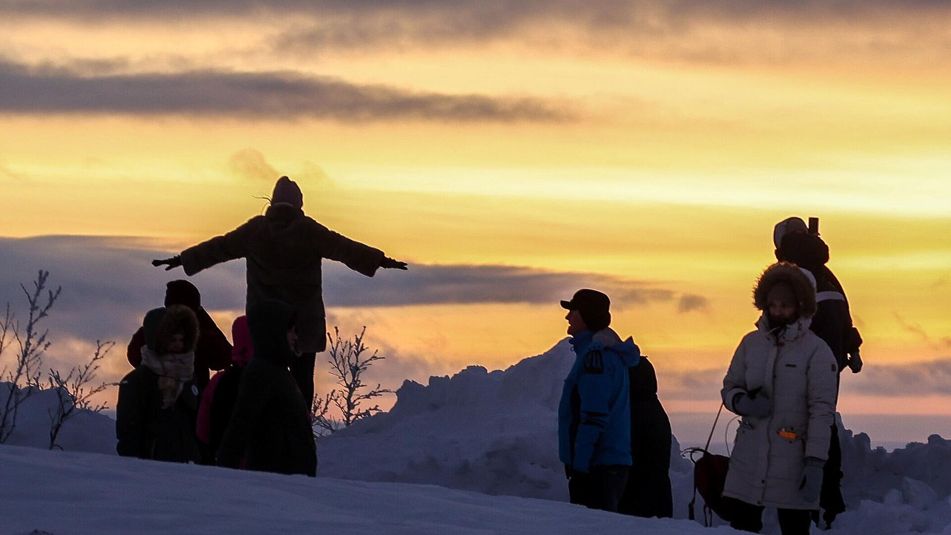 � ���������� ������� ������������ � �������