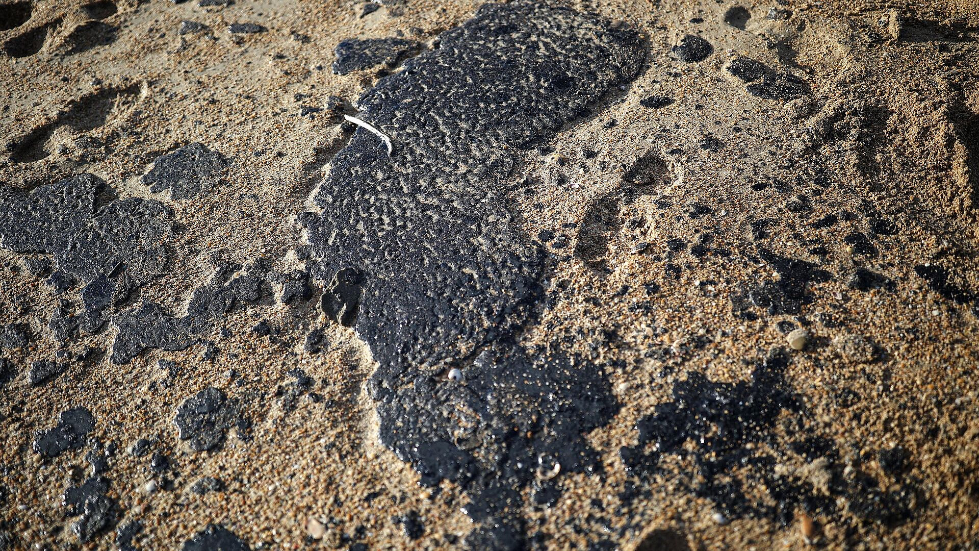 ����� ����� ��������� �������� ������� � ���������� �� � ���������� �������