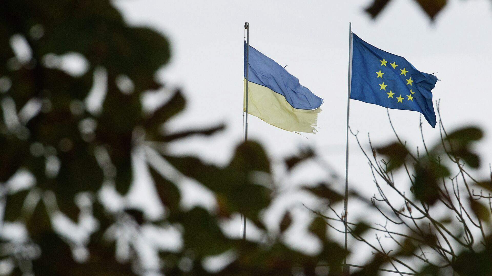 "Предотвратить сделку": новый план ЕС по Украине поразил журналиста