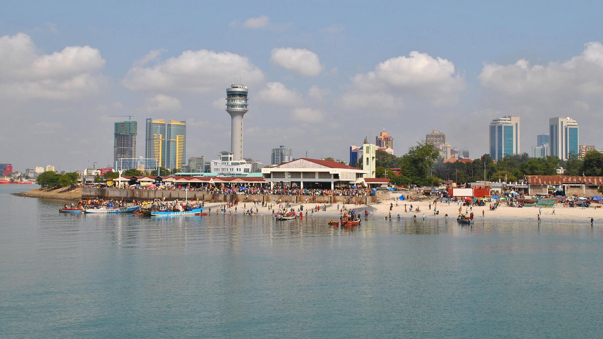 СМИ: в Танзании из-за употребления мяса черепахи умерли девять человек