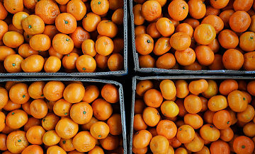 ���: ��������� ���� �� ������ ��-�� ����������� ����������� ��������