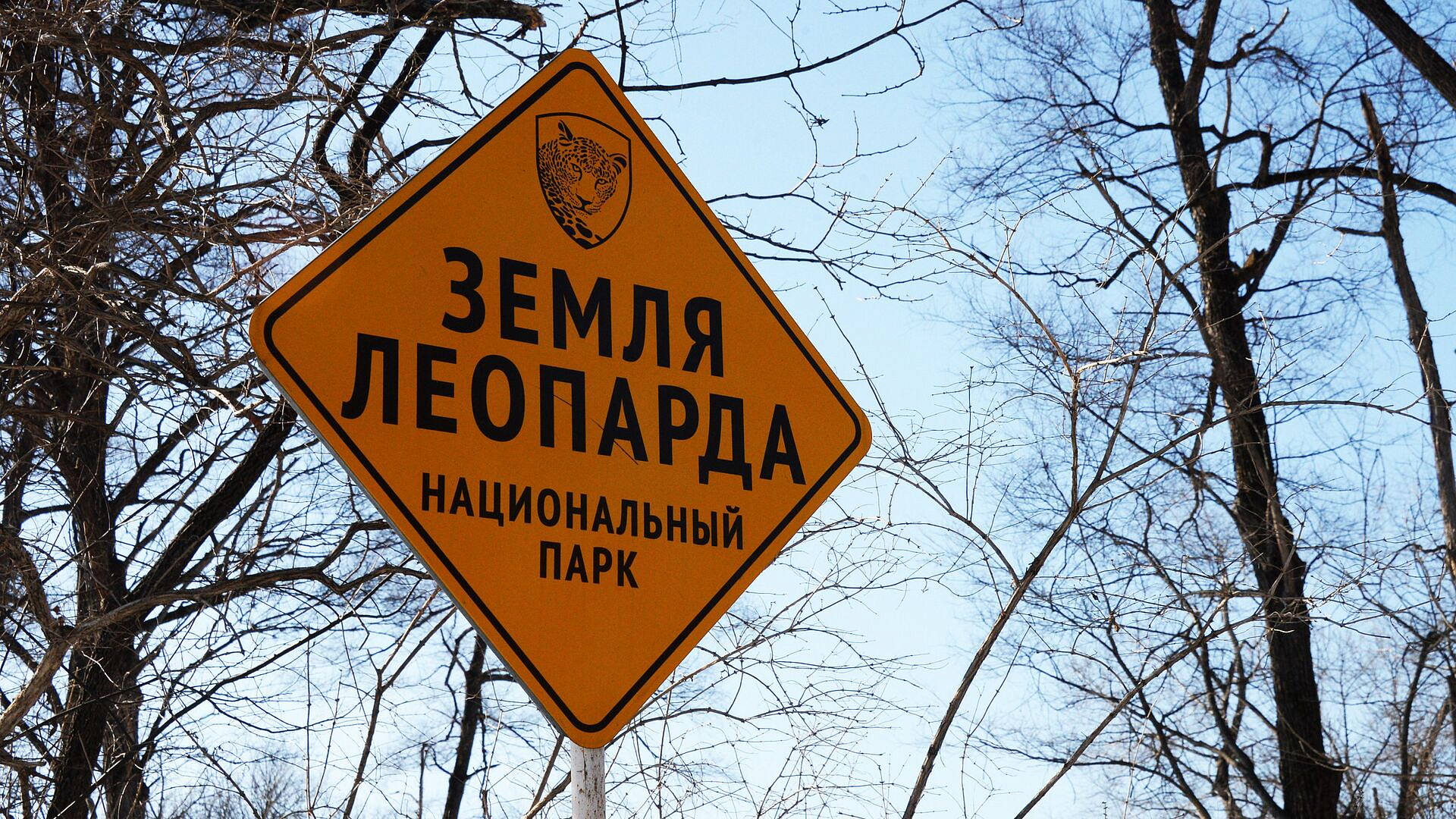 В Приморье впервые попали на видео детеныши редкого водяного оленя