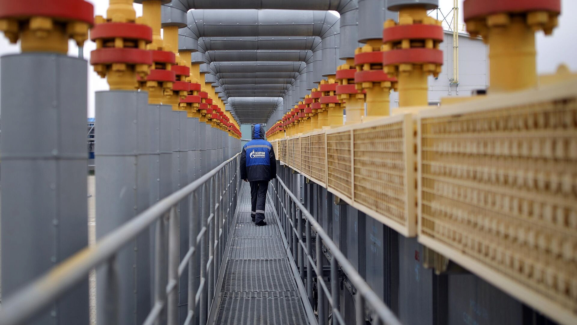 ��������� ���������� ��������� � ��������� ����������� ���� � ������ 