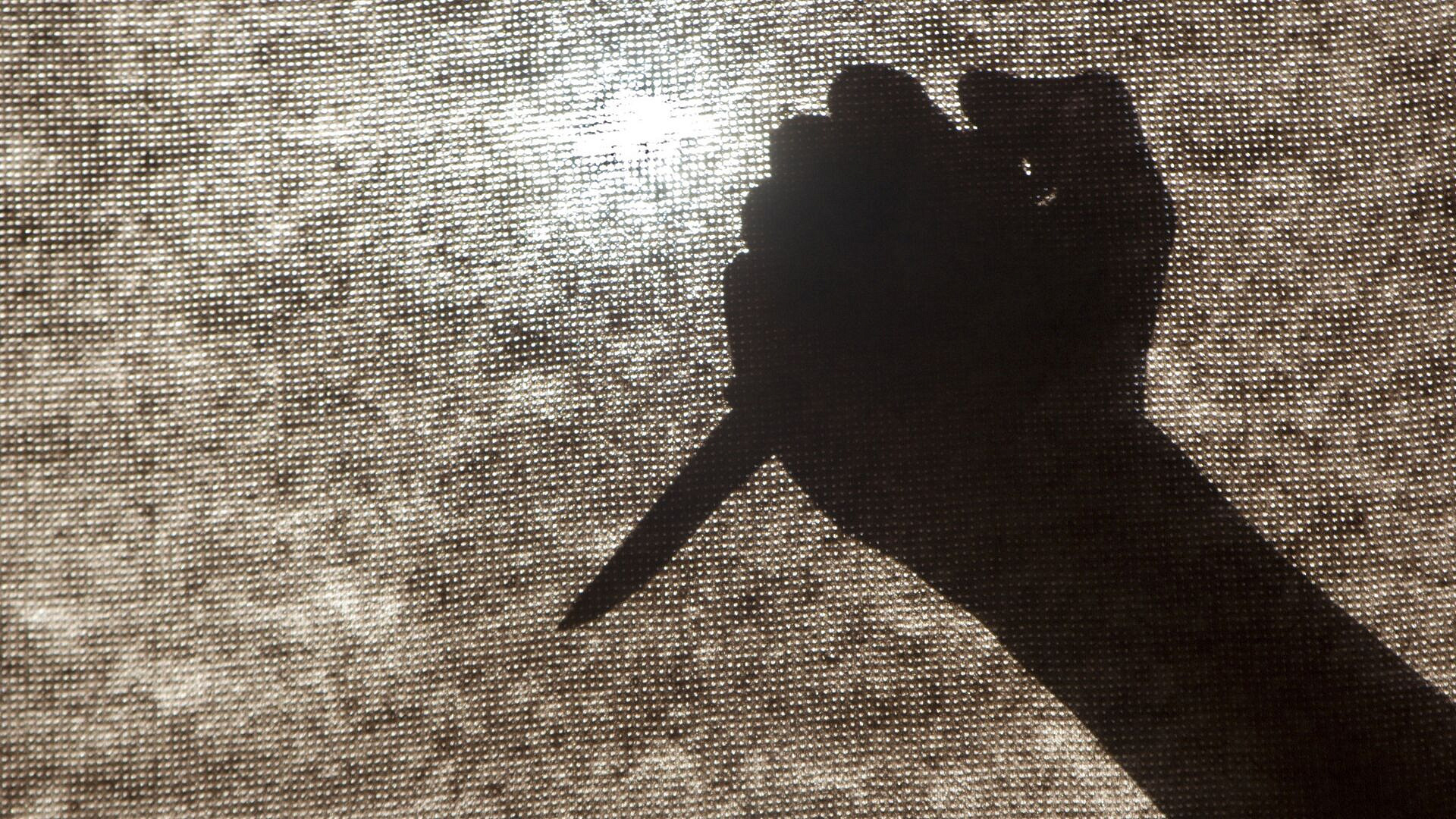 В Псковской области мужчина зарезал друга и совершил самоубийство