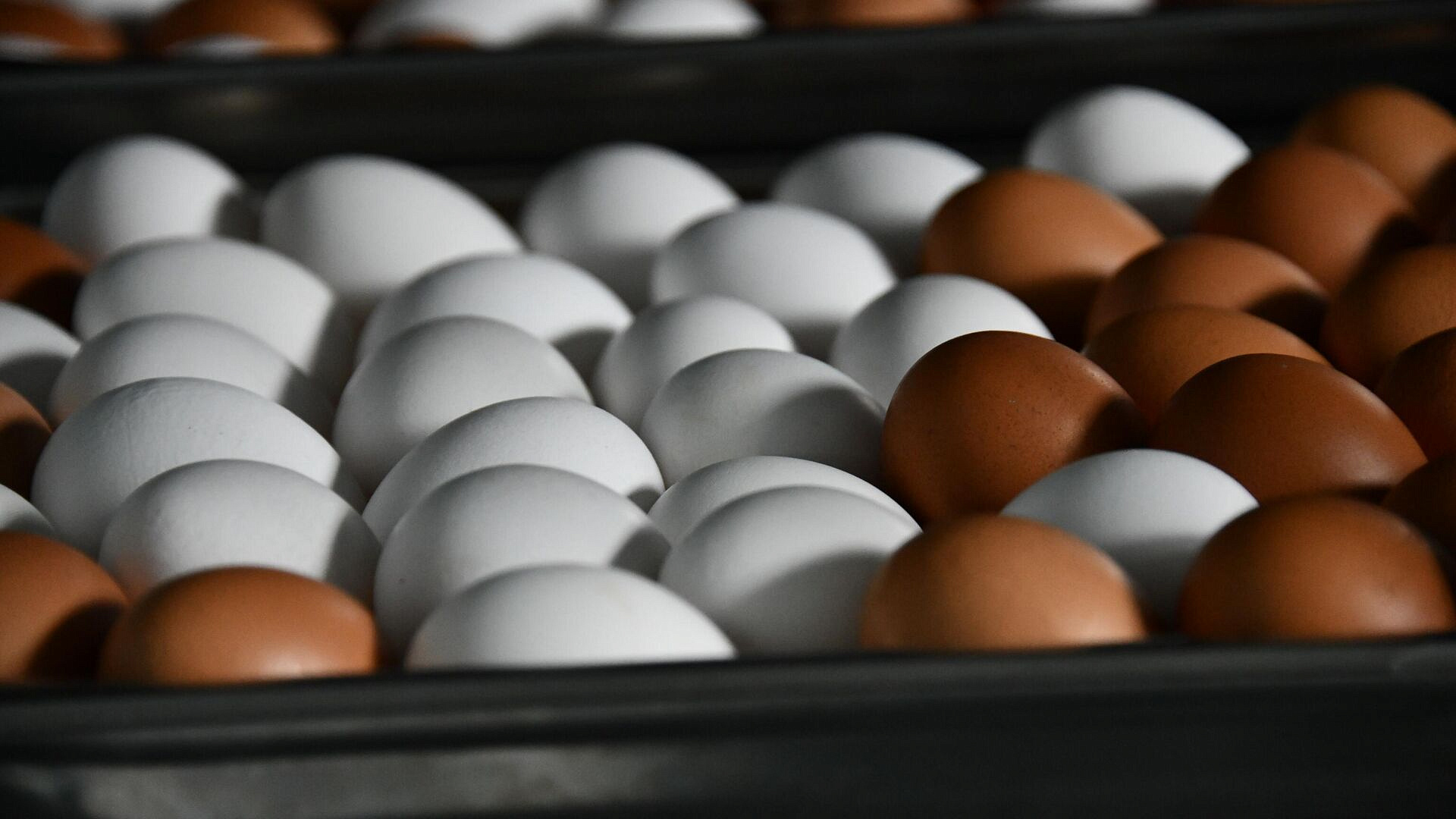 ����� ��� � ���������� ���������� � ���� 23 ������ �� ���� � ����� �� ����