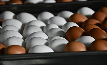 Белый дом и Калифорния встретятся в суде 23 января по делу о ценах на яйца