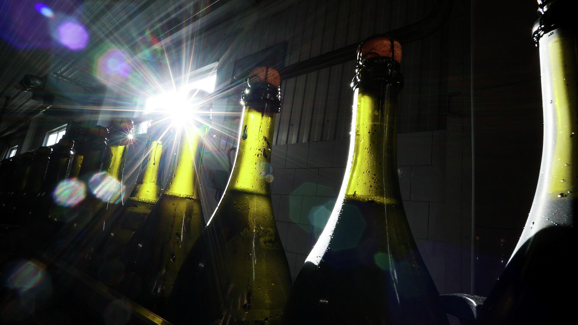 Россия отложила введение нового ГОСТа на вино