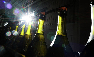 Россия отложила введение нового ГОСТа на вино