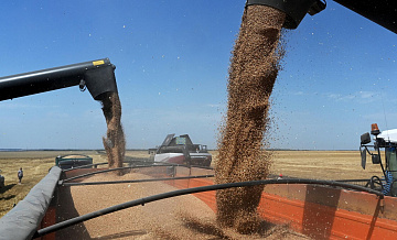 Из Калининградской области в Тунис впервые отправили партию пшеницы