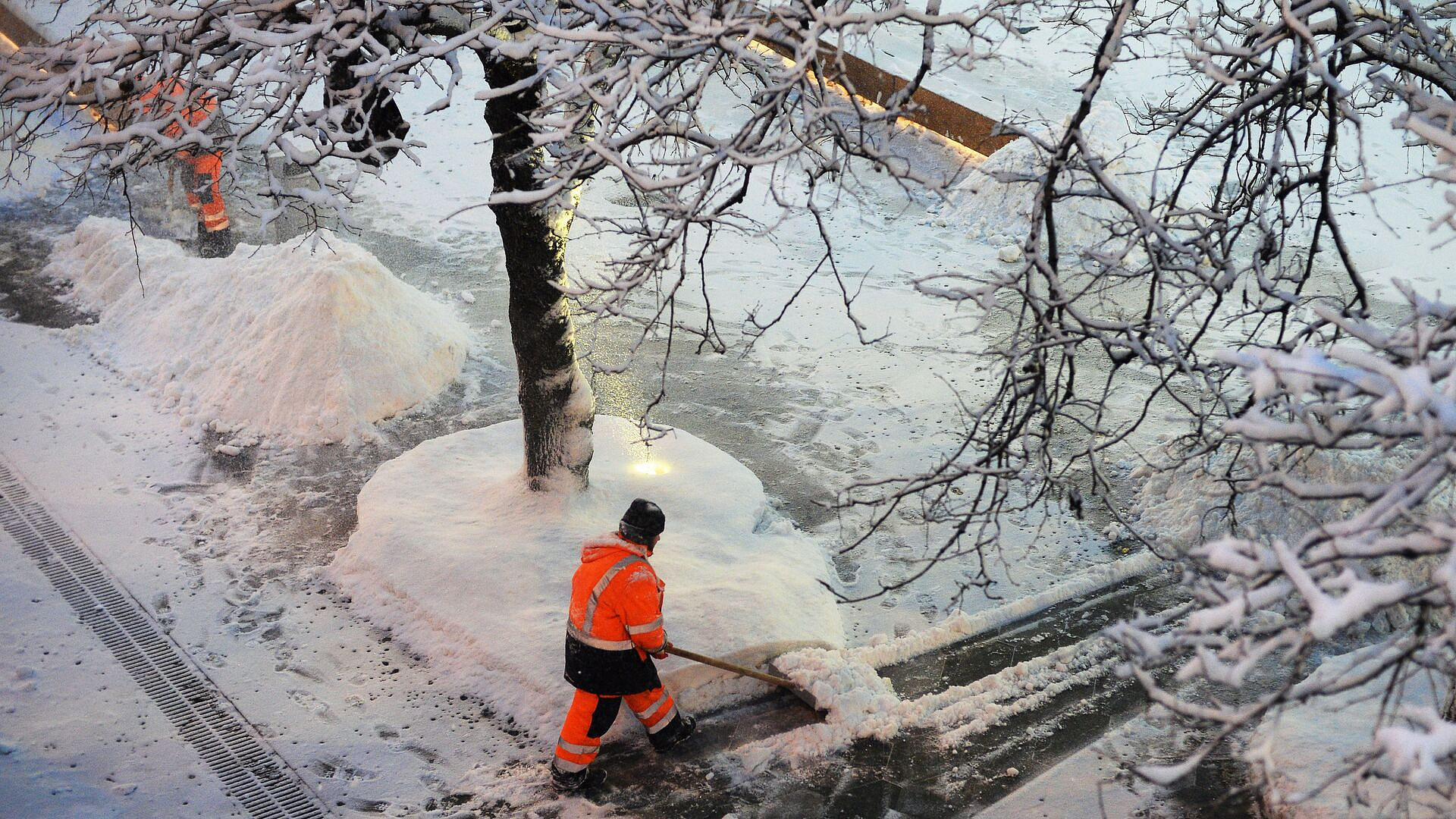 � ������ ���������� ��������� ����������� ���������