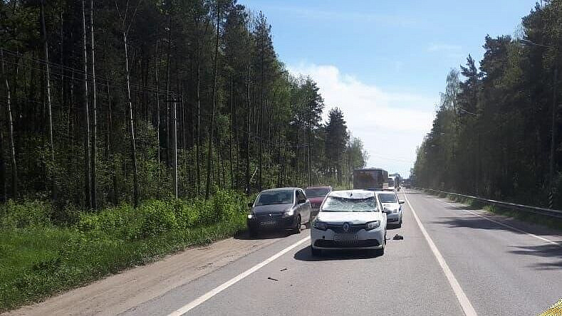 В Подмосковье водитель иномарки сбил лося