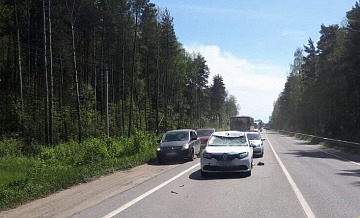 В Подмосковье водитель иномарки сбил лося