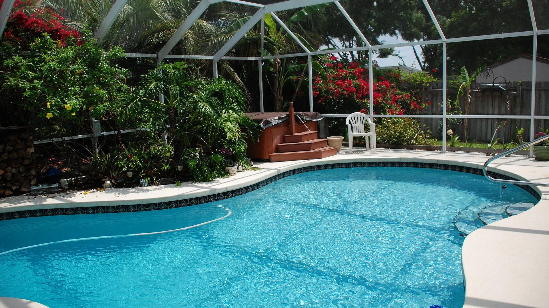 ������� �� ���� ��������� ������ �������� ������� ���-�������� ���� 