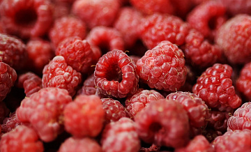 Россия выращивает почти четверть всей малины в мире