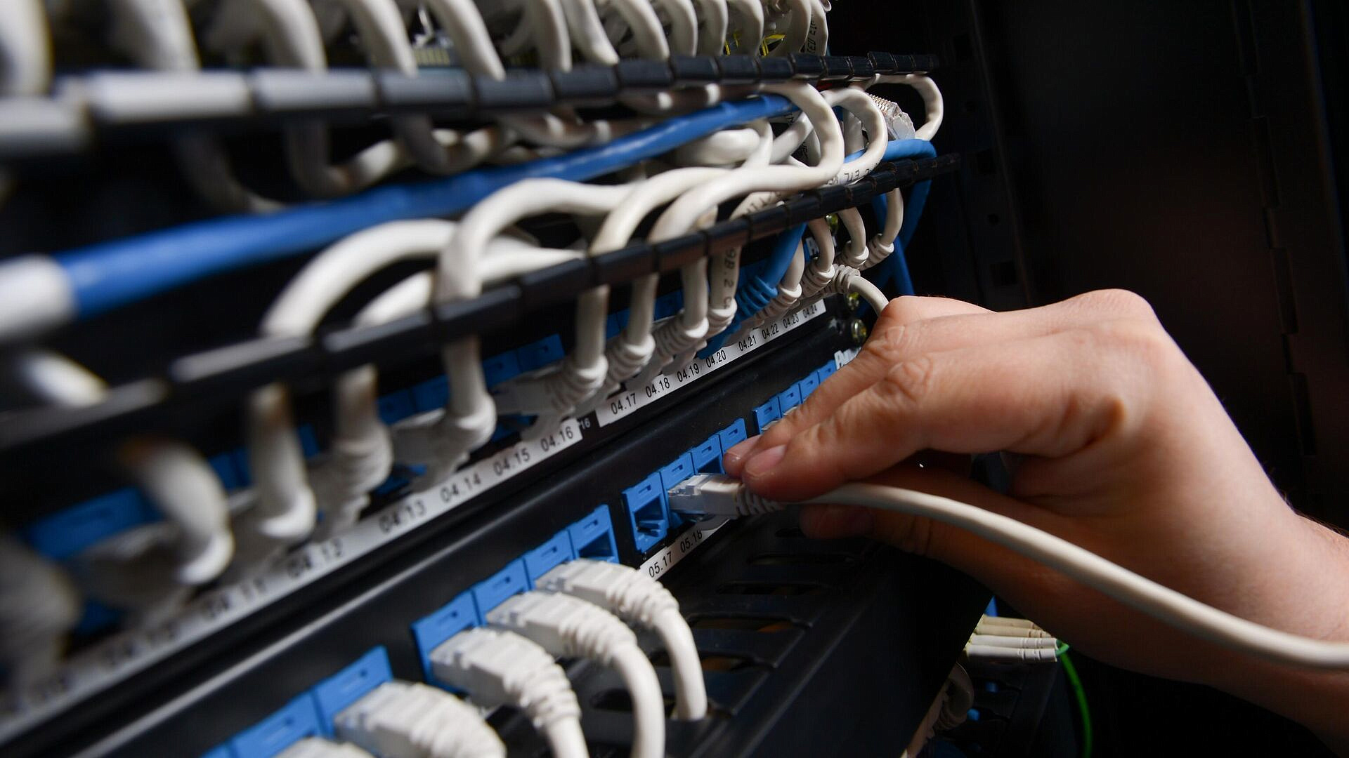 ��������� ����-������� � ������ �������, ������ �����