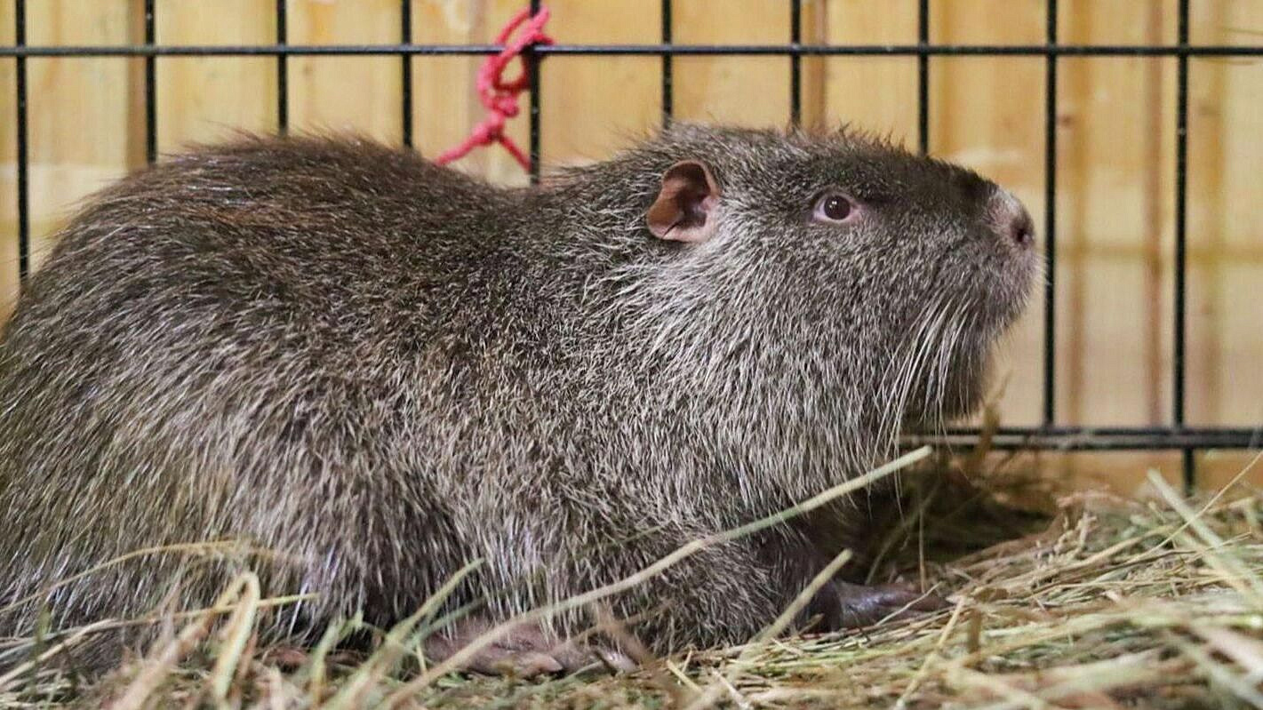 ������ ������ ������� ����� ��� ������ � "��������� �����" �� ����