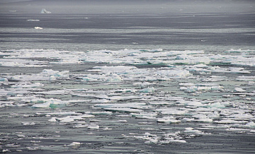 Россия обеспокоена активизацией деятельности НАТО в Арктике