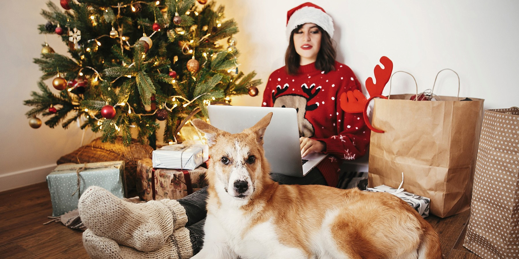 � ������ ����� �������� ���������� ��������