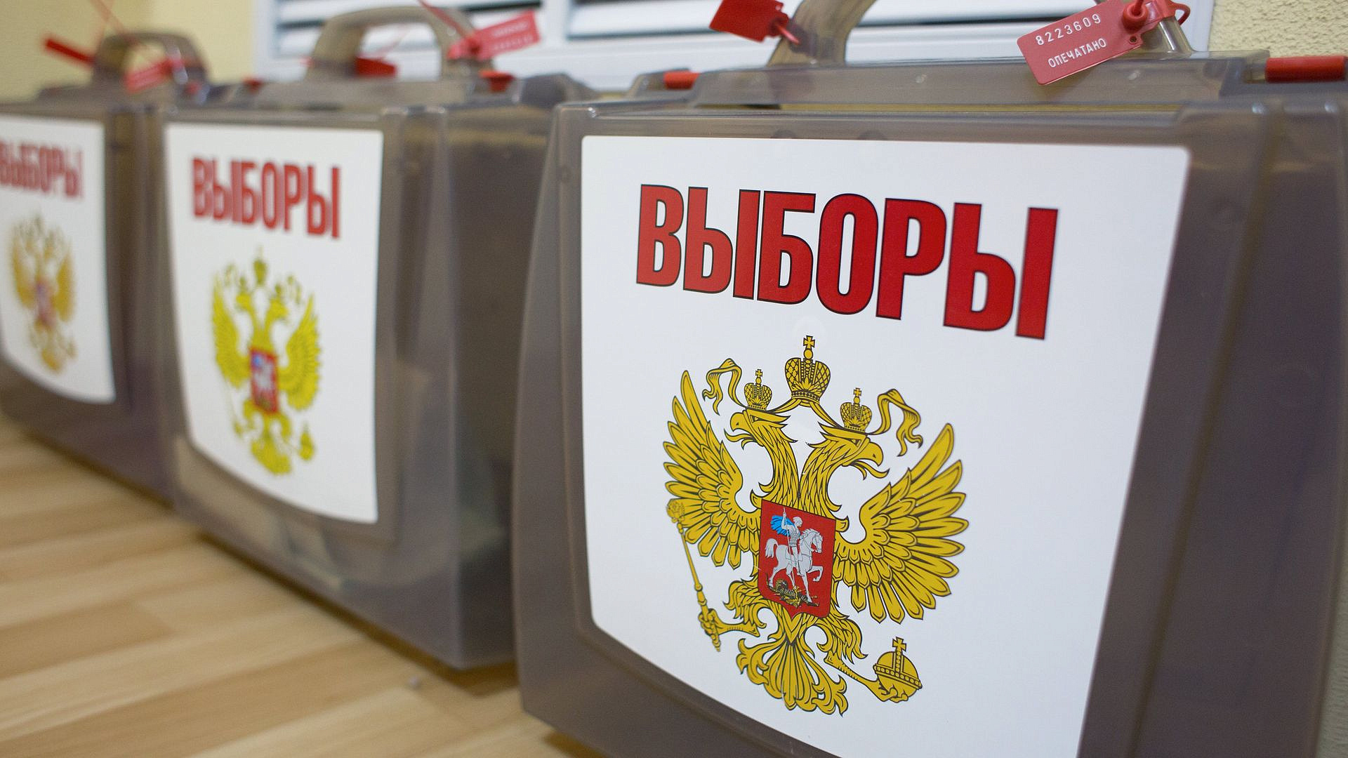 В МИД рассказали о приглашении международных наблюдателей на выборы в ГД