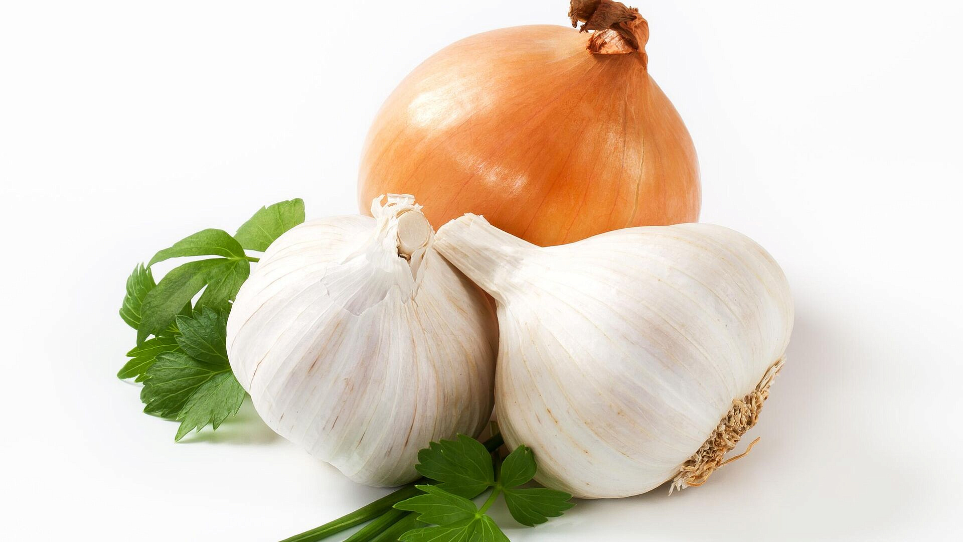 ���� ������� ��������, ������� ����� ������� ���������� ����� ����