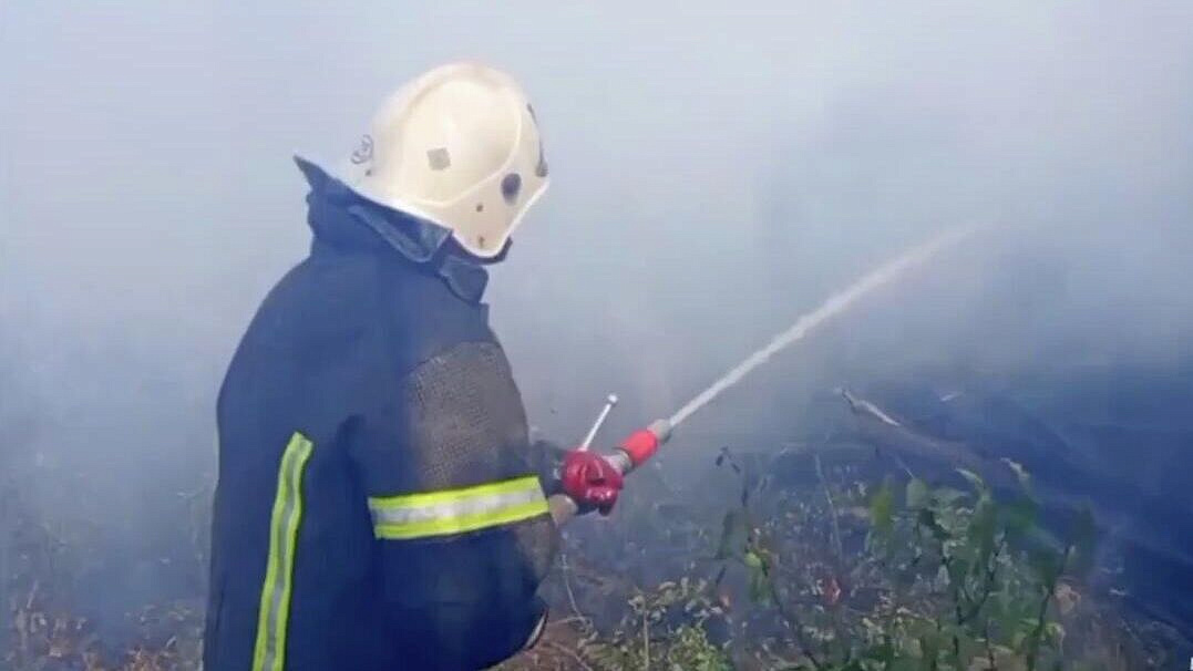 � �������-��������� ������������� �������� �������