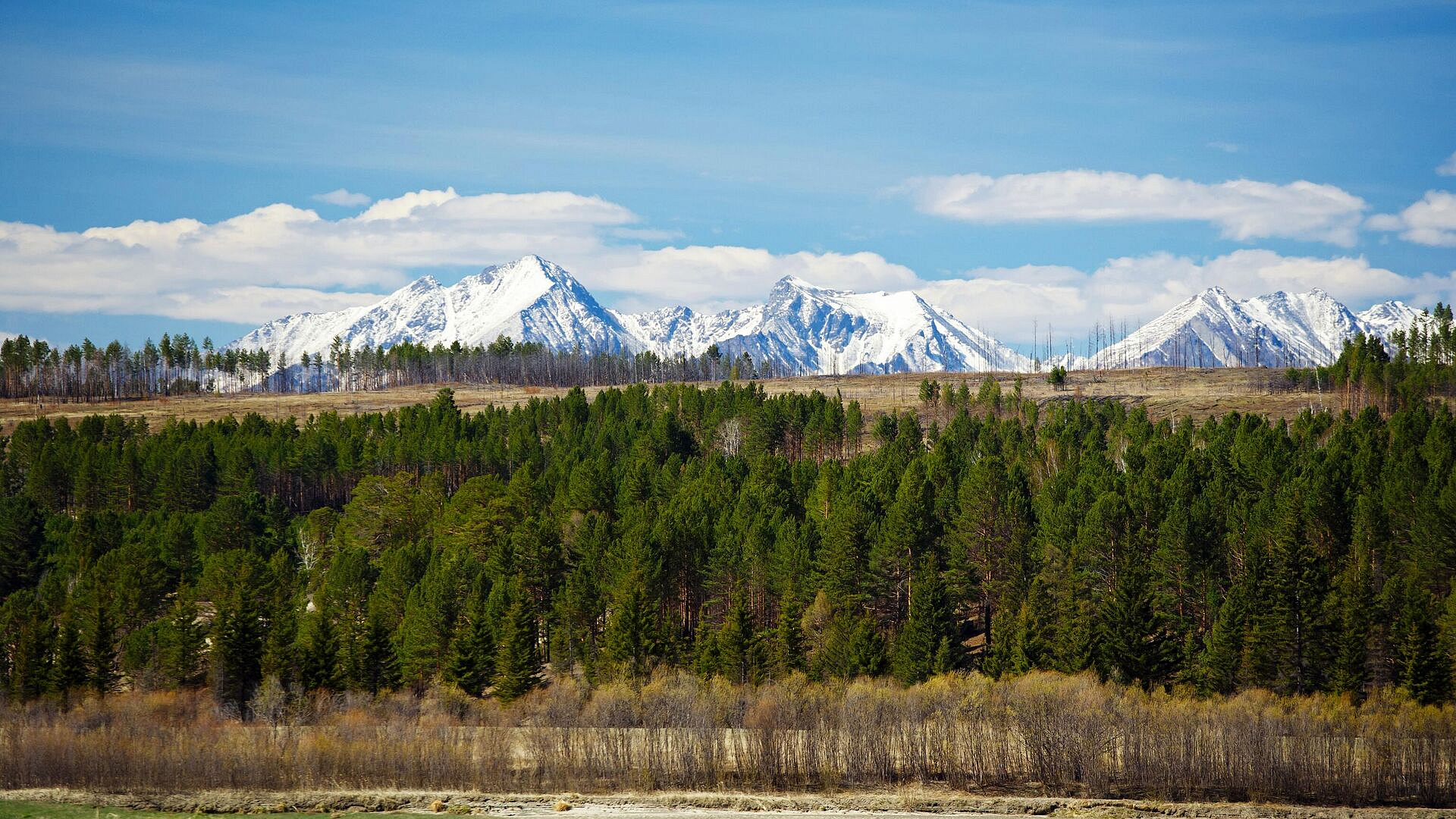 В Бурятии нашли тело украинского ученого, пропавшего 16 лет назад