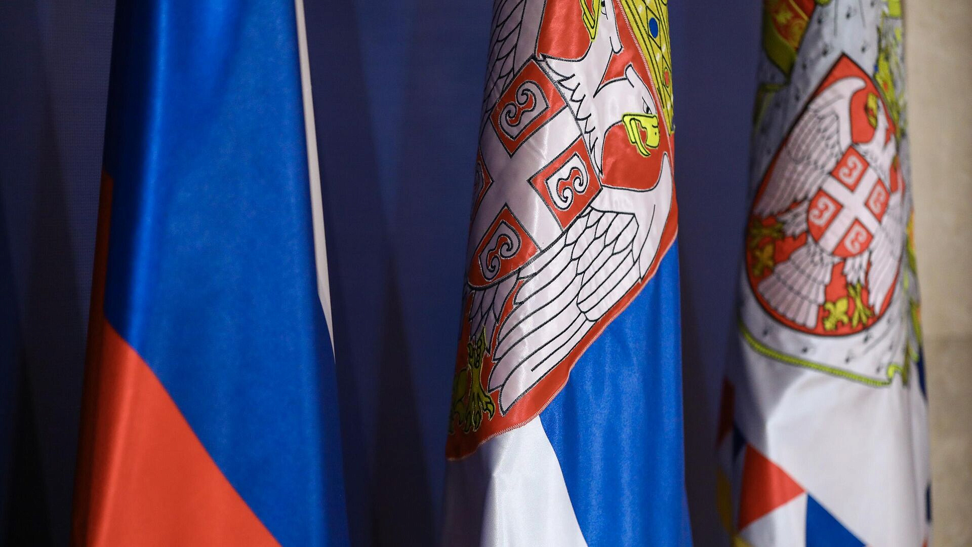 Сербский омбудсмен назвал народ Сербии хорошим другом России