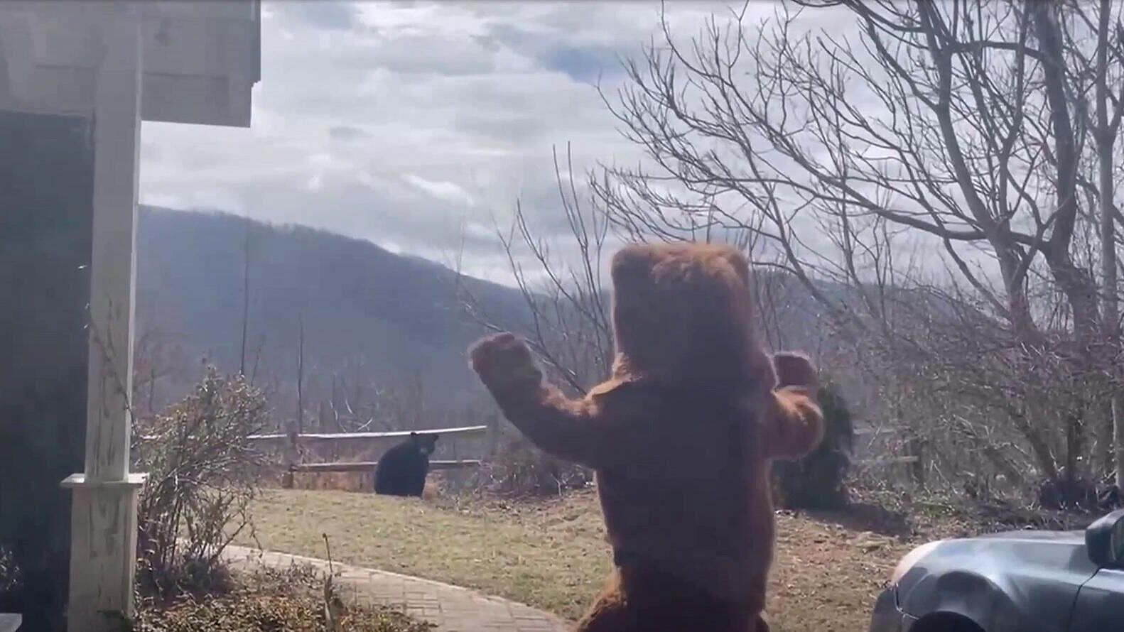 ���������� �������� ��������� ������ �������� ���������� �� ���� �������