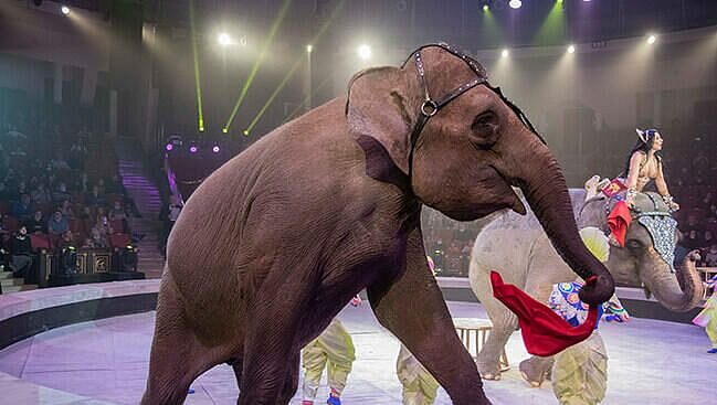 "Росгосцирк" и Минкультуры Абхазии подписали соглашение о сотрудничестве