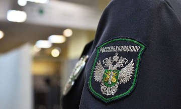 Прогноз Россельхознадзора о вспышке ящура в ЕС подтвердили в Венгрии