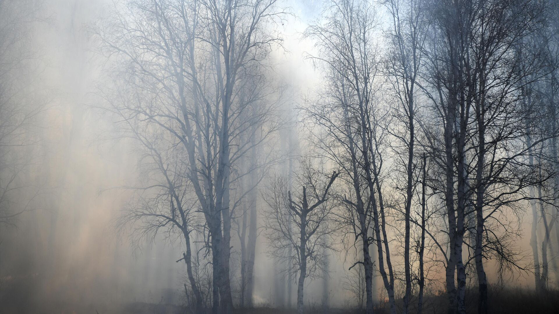 � ���������� ������ ������ �������� ���� �����