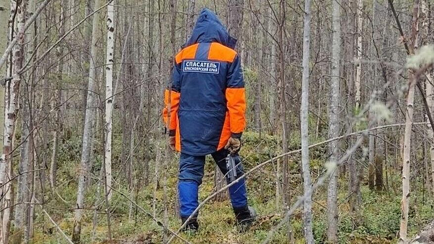 Волонтер назвала условие для поисков Усольцевых