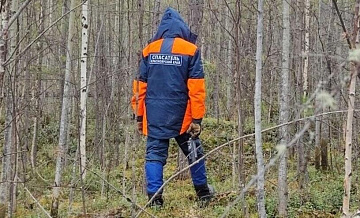 Волонтер назвала условие для поисков Усольцевых