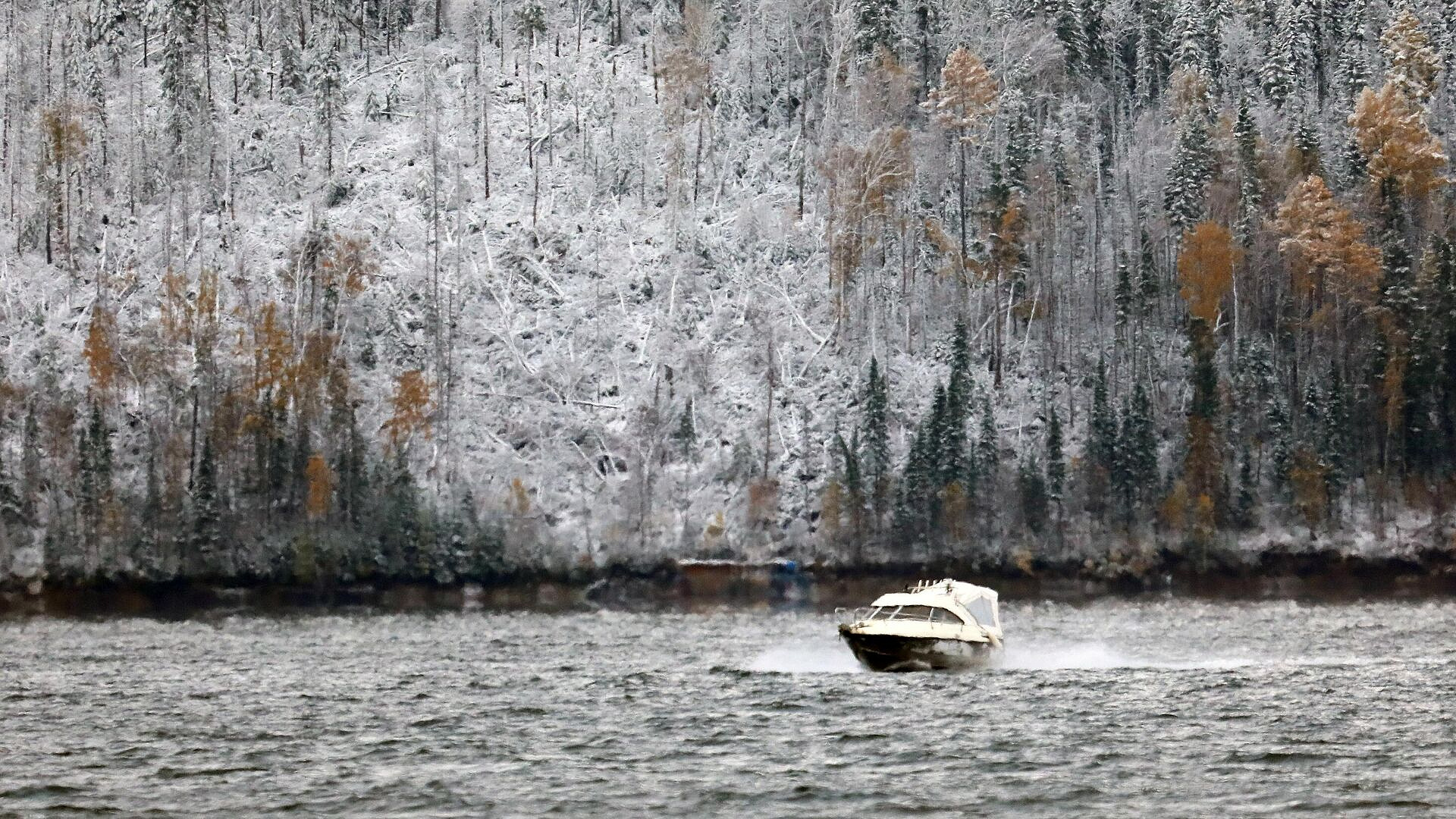 ����� 75 ���������� ��������� ����� ������ �������� �� ��������������