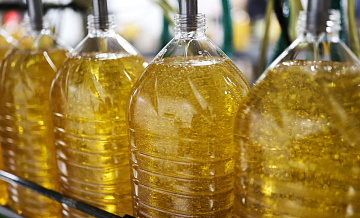 ������������ ����� ���������� � ���� �� ��������� � 2022 ����