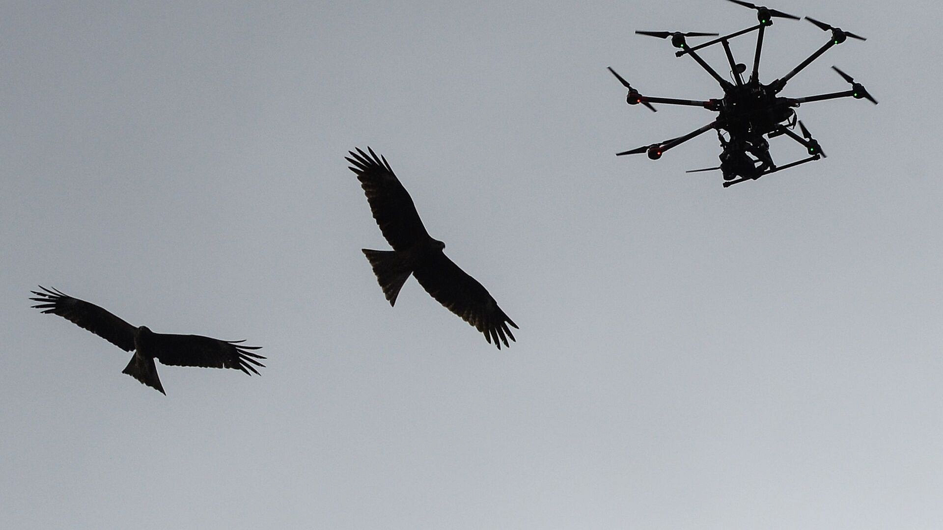 В Калужской области разместят центр мониторинга беспилотников
