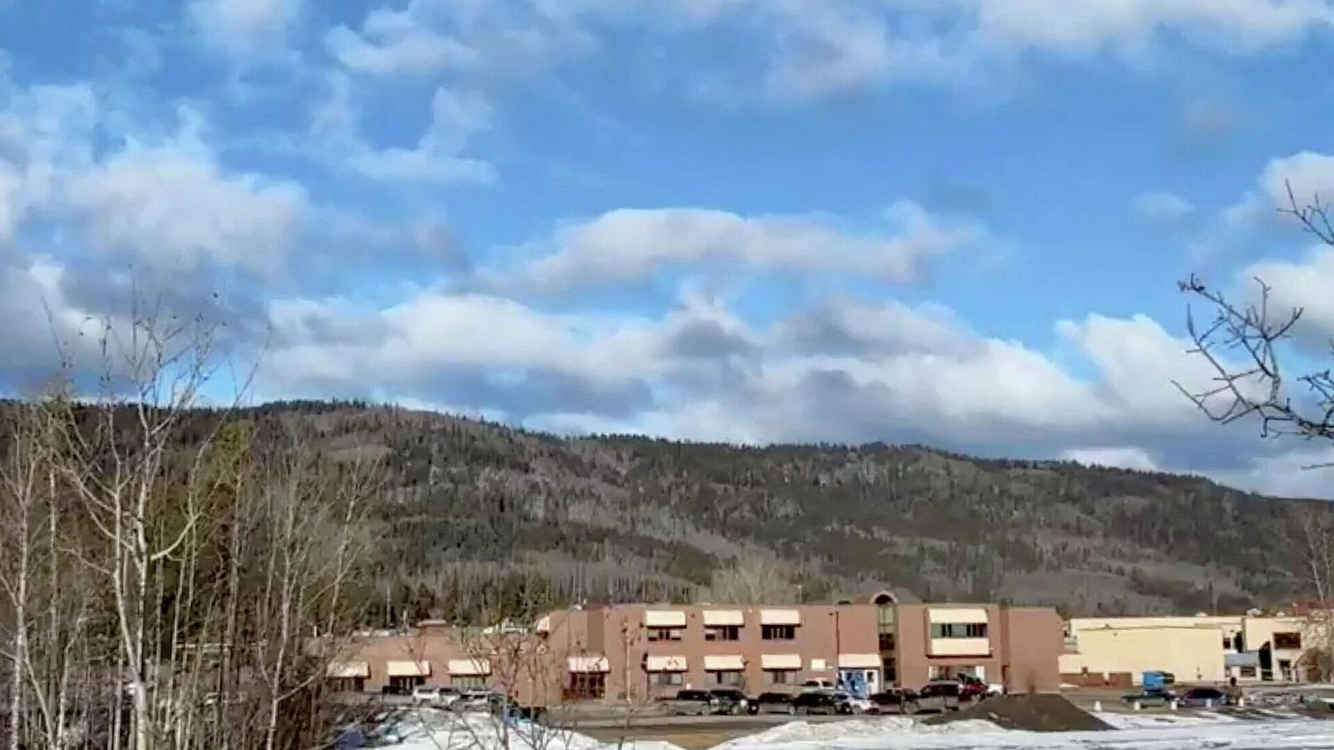 Стрельбу в школе в Канаде устроил трансгендер*