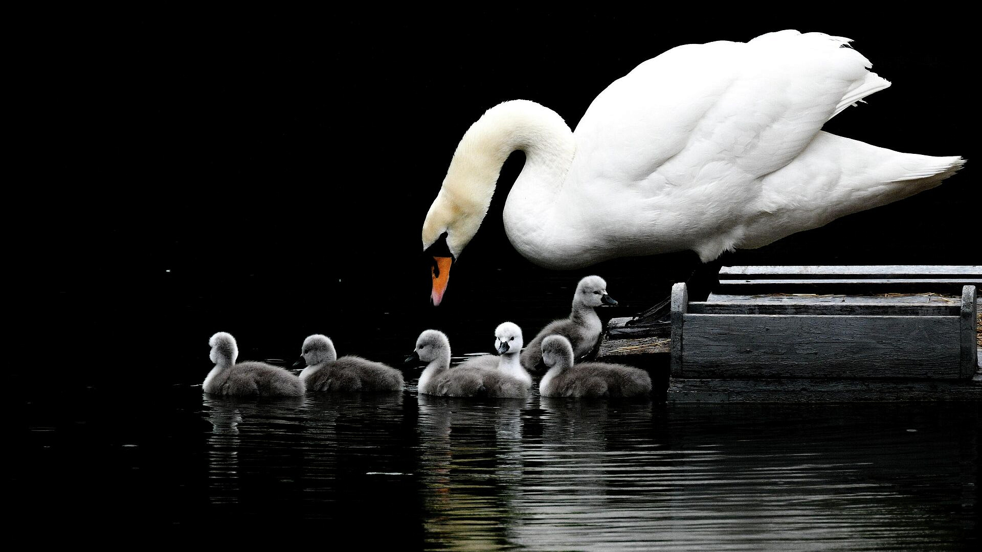 ������ � ���������� ������ � ������ ������� �����