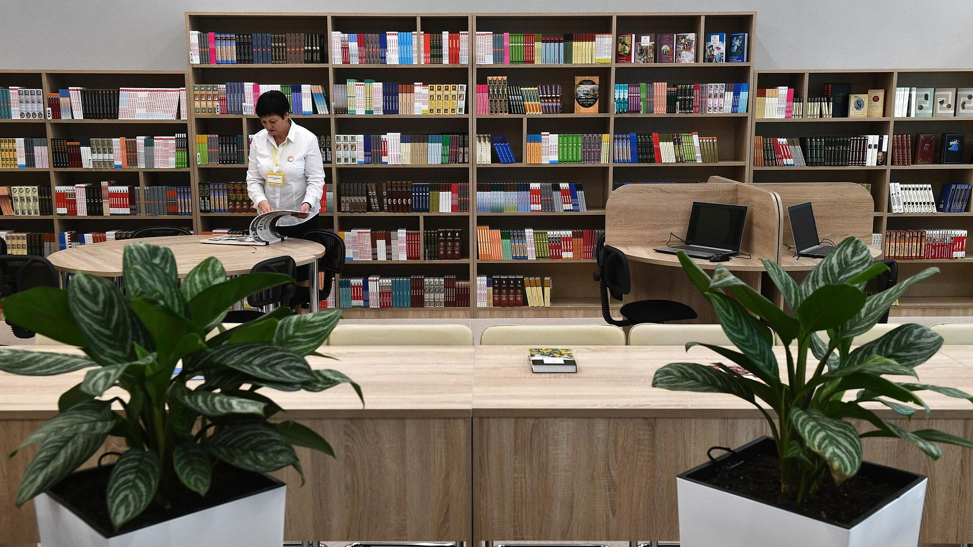 В Минпросвещения прокомментировали создание единого перечня книг для школ