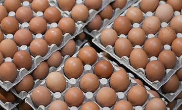 В России подешевели куриные яйца