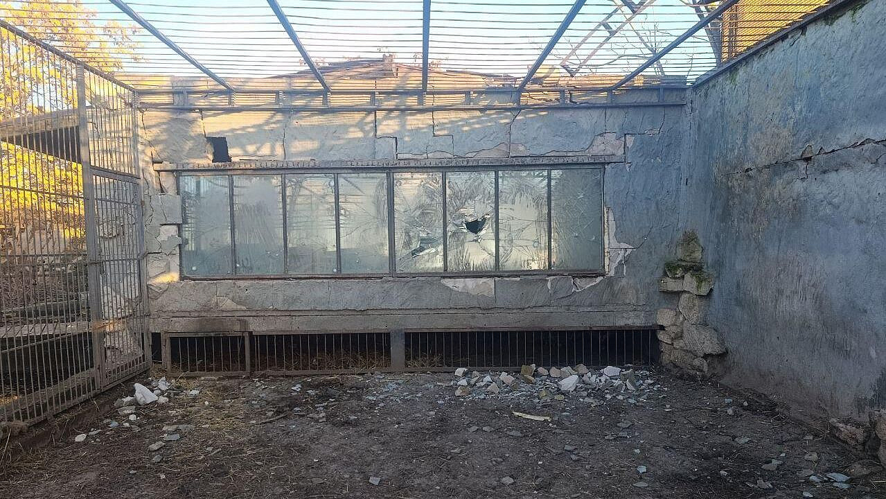 Балицкий рассказал о начале восстановления зоопарка в Васильевке