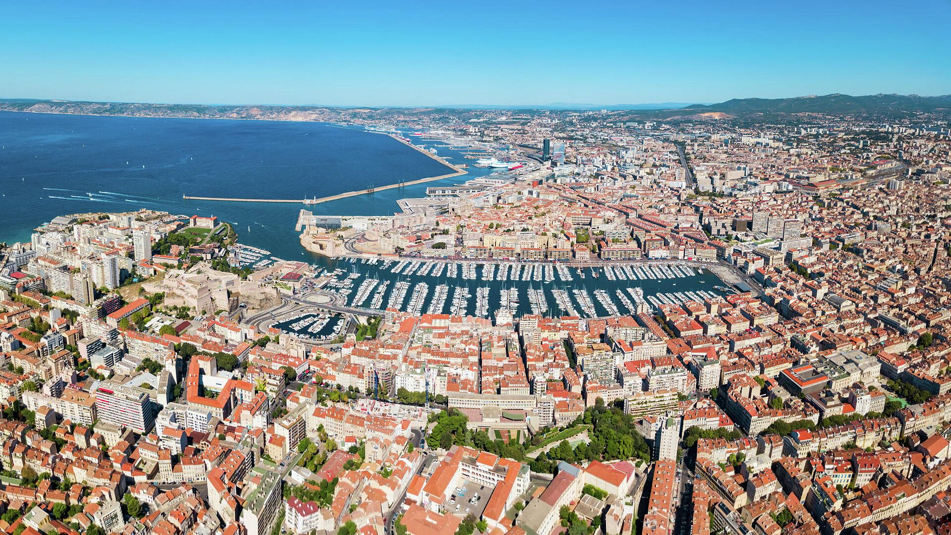 ����� ������� �������� ������ ������, ����� ���