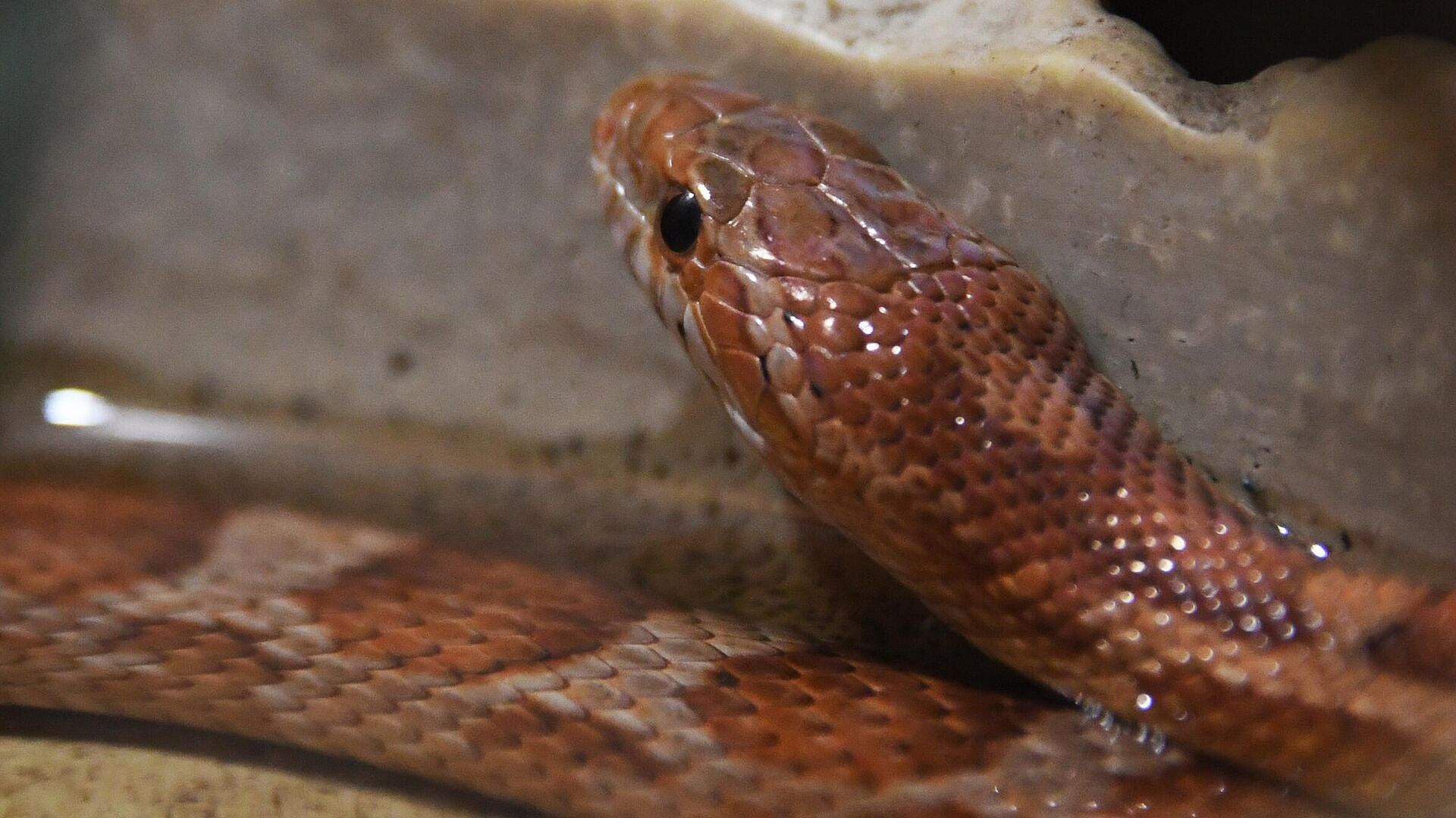 � ������ � ����� � ������ ������ ����� ���� � ���� ������ ��� ����������