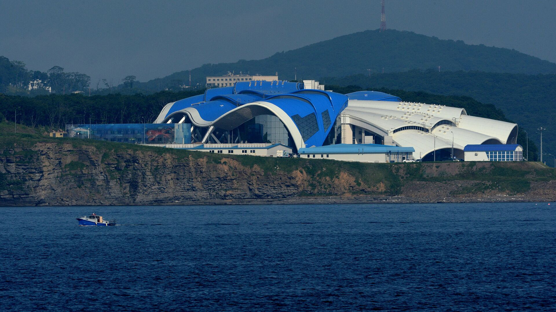 В Приморье самка ската, живущая восемь лет без самца, принесла потомство