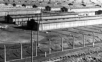 Жена нациста привезла в Бразилию мыло из жира узников, рассказал историк