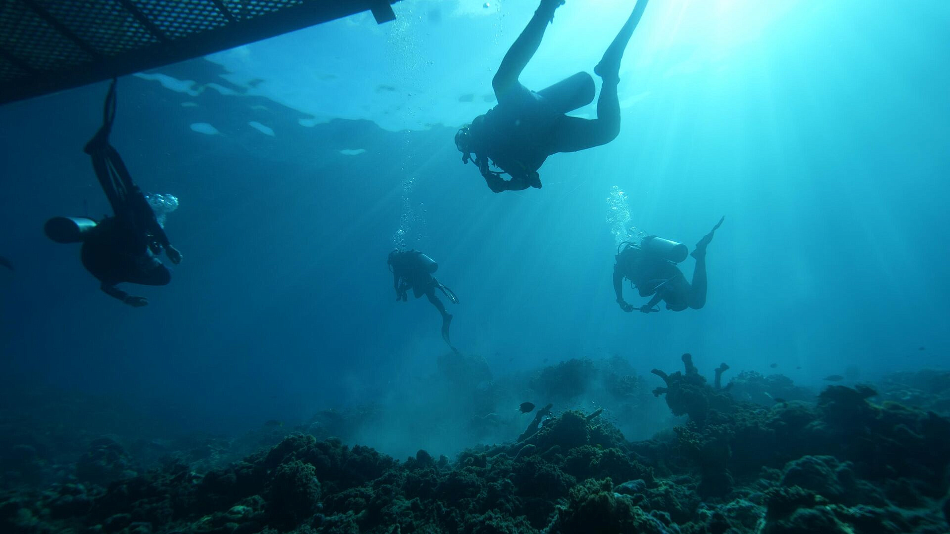 Дайверы не обнаружили мазут на морском дне в Анапе