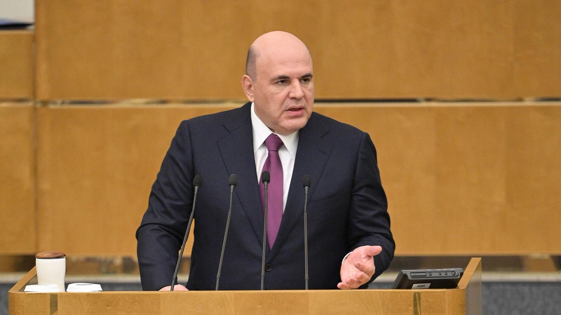 Мишустин 24 мая поучаствует в заседании совета глав правительств СНГ