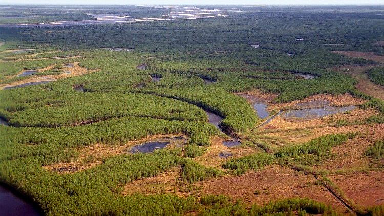 Ученый рассказал о главных условиях для развития биоэкопоселений в Арктике