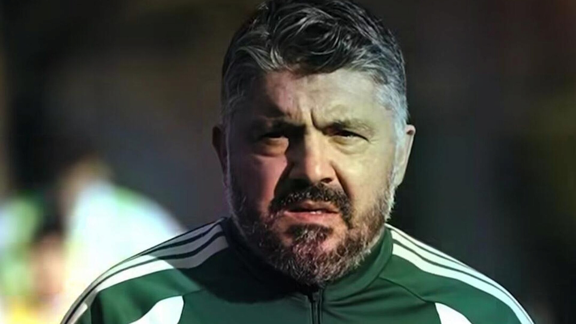 Гаттузо ушел в отставку после непопадания Италии на чемпионат мира